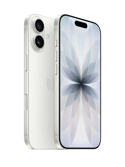 17white removebg preview